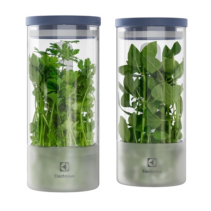 Electrolux Kit 2 Potes Herméticos de Vidro para Temperos Frescos e Hortaliças