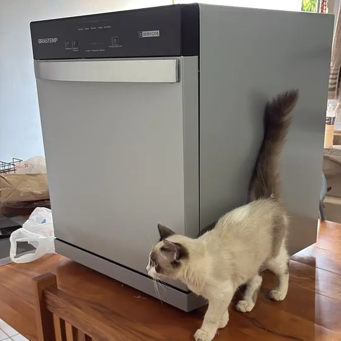 Lava Louças 8 Serviços Brastemp Inox